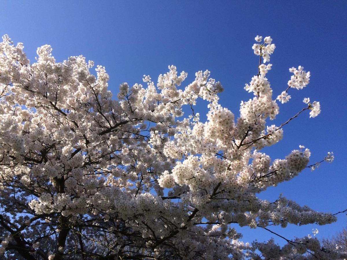 De Bron Heverlee ภายนอก รูปภาพ